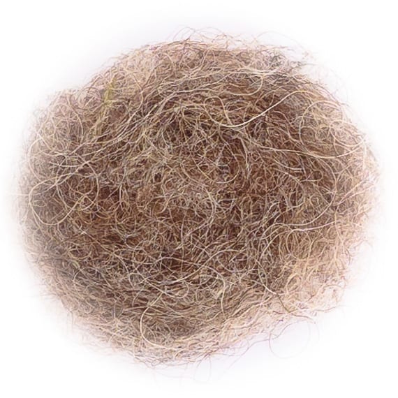 category_id_6.jpg